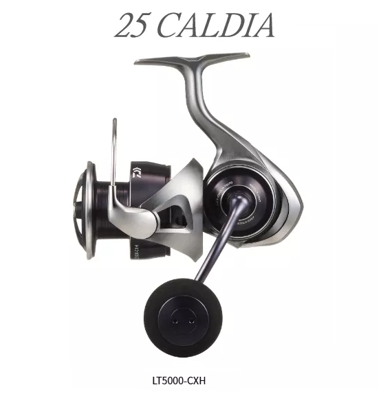 DAIWA 25 CALDIA LT5000 - CXH JDM Fishing Reel
