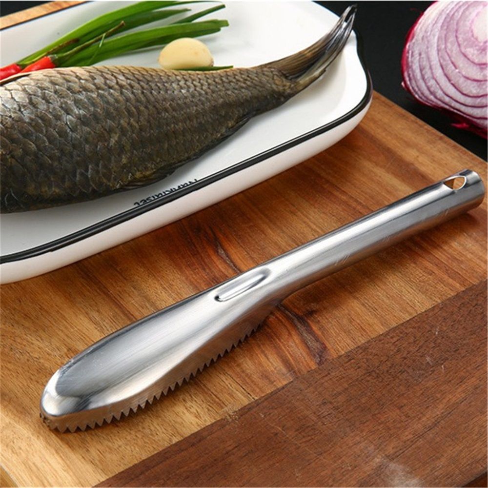 2 Pack Fish Scaler Stainless Steel Sturdy & Portable, Quick & Easy.